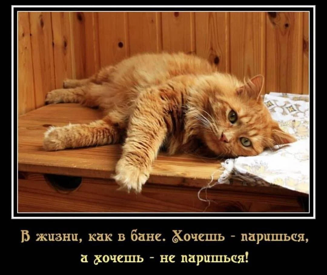 Угарные мемы и картинки про баню Угарные мемы и картинки про баню мемы, баня, приколы, юмор, картинки