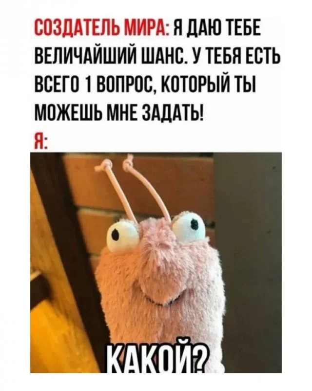 Утренний юмор: мемы про мышей, камни в почках и капитана Кука Утренний юмор: мемы про мышей, камни в почках и капитана Кука мемы, юмор, приколы, картинки, подборка