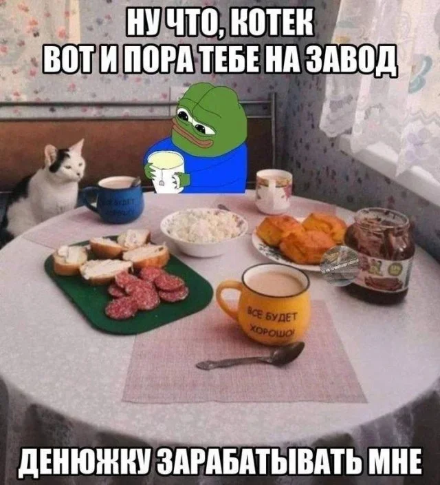 Утренний юмор: мемы про мышей, камни в почках и капитана Кука Утренний юмор: мемы про мышей, камни в почках и капитана Кука мемы, юмор, приколы, картинки, подборка