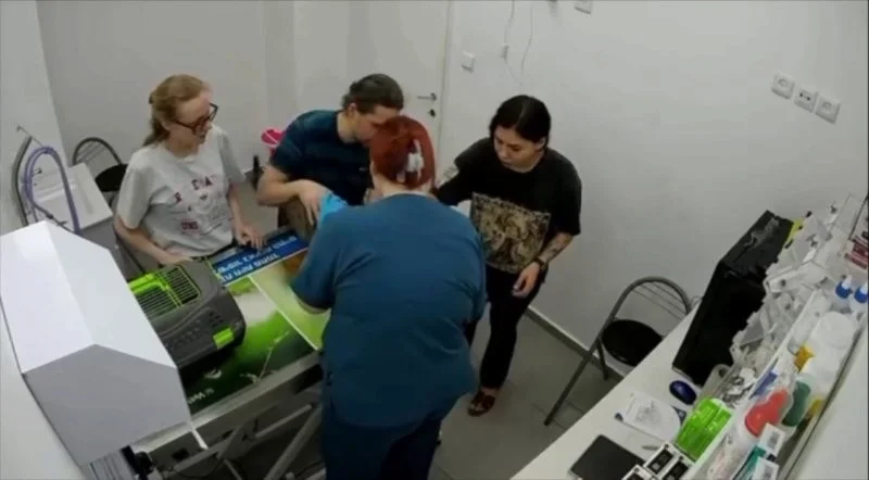 Дерзкий побег кота в ветклинике: через потолок к свободе кот, побег, ветклиника, видео, животные, прикол
