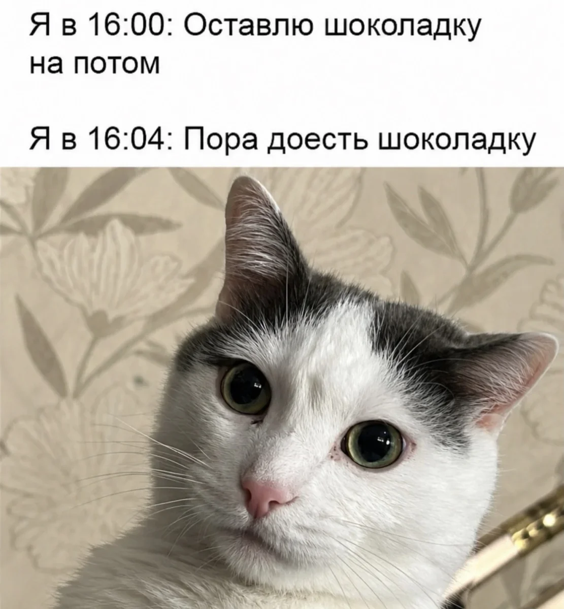 Улыбнись: ежедневная порция смешных картинок юмор, приколы, позитив