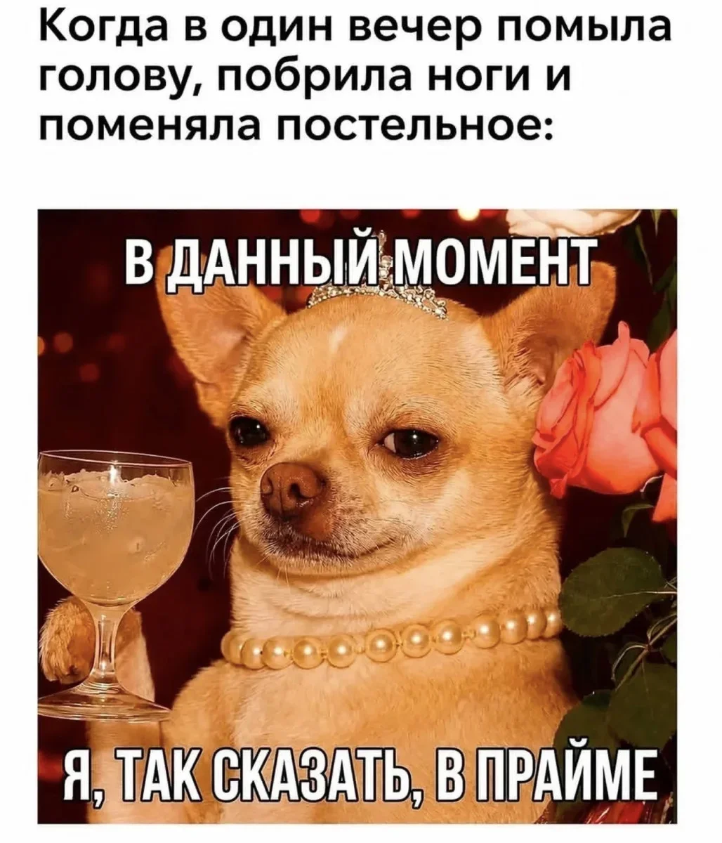 Улыбнись: ежедневная порция смешных картинок юмор, приколы, позитив