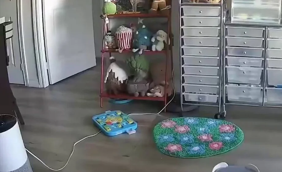 Тайная жизнь кота на запретной кровати: видео, от которого вы улыбнетесь