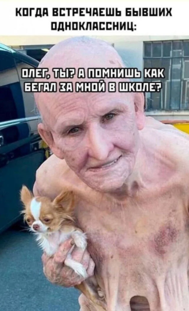 Дзынь — и ты в кроличьей норе: подборка мемов приколы, мемы, юмор, картинки, смешное, подборка
