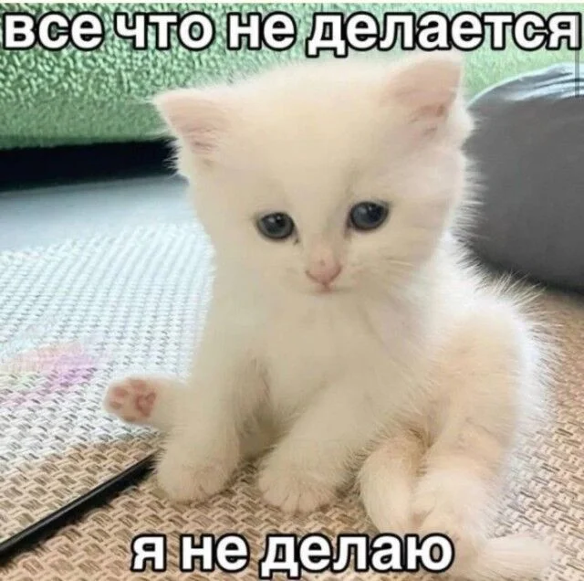 Дзынь — и ты в кроличьей норе: подборка мемов приколы, мемы, юмор, картинки, смешное, подборка