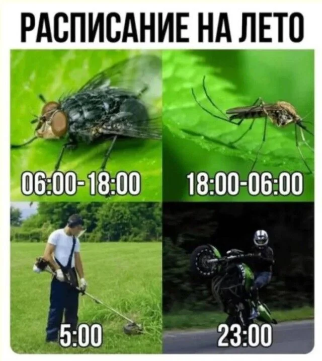 Дзынь — и ты в кроличьей норе: подборка мемов приколы, мемы, юмор, картинки, смешное, подборка