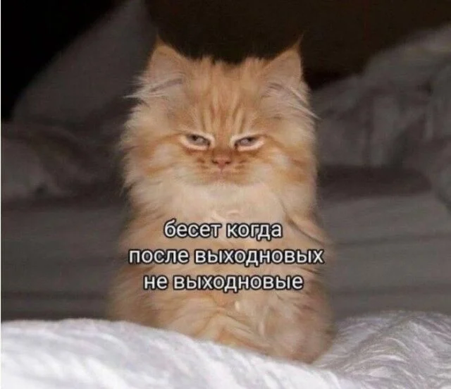 Дзынь — и ты в кроличьей норе: подборка мемов приколы, мемы, юмор, картинки, смешное, подборка