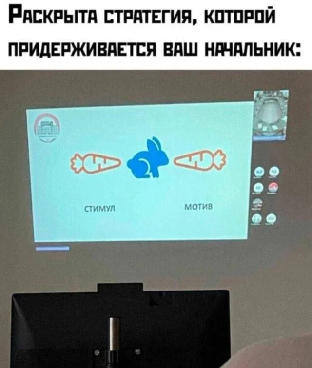 Дзынь — и ты в кроличьей норе: подборка мемов приколы, мемы, юмор, картинки, смешное, подборка