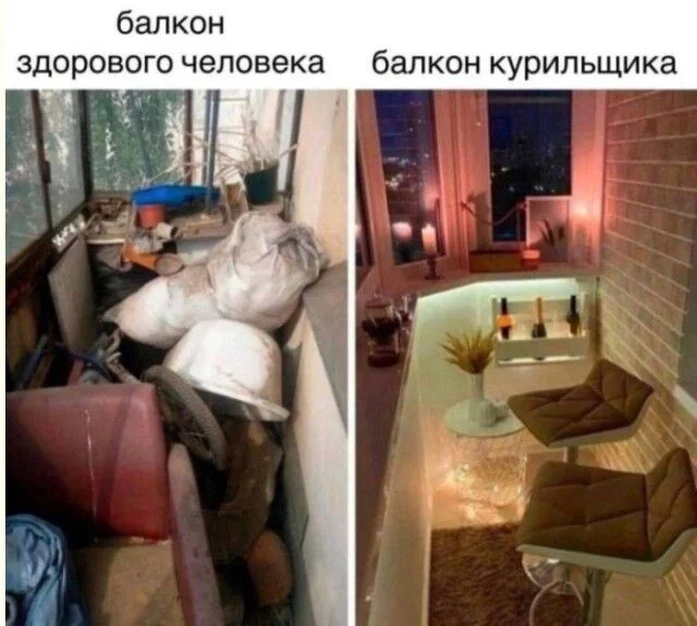 Дзынь — и ты в кроличьей норе: подборка мемов приколы, мемы, юмор, картинки, смешное, подборка
