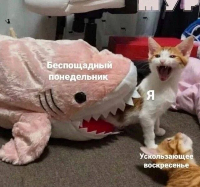 Дзынь — и ты в кроличьей норе: подборка мемов приколы, мемы, юмор, картинки, смешное, подборка