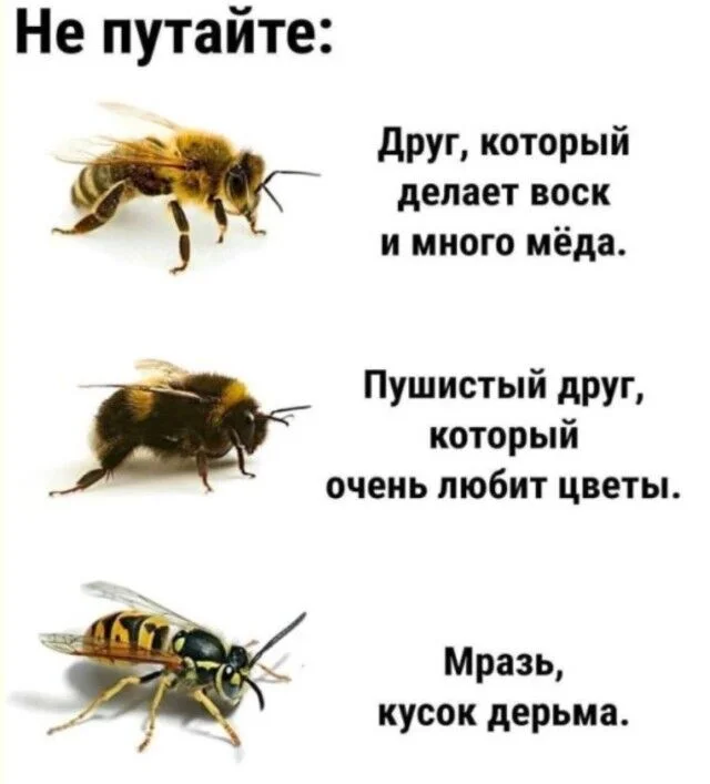 Дзынь — и ты в кроличьей норе: подборка мемов приколы, мемы, юмор, картинки, смешное, подборка