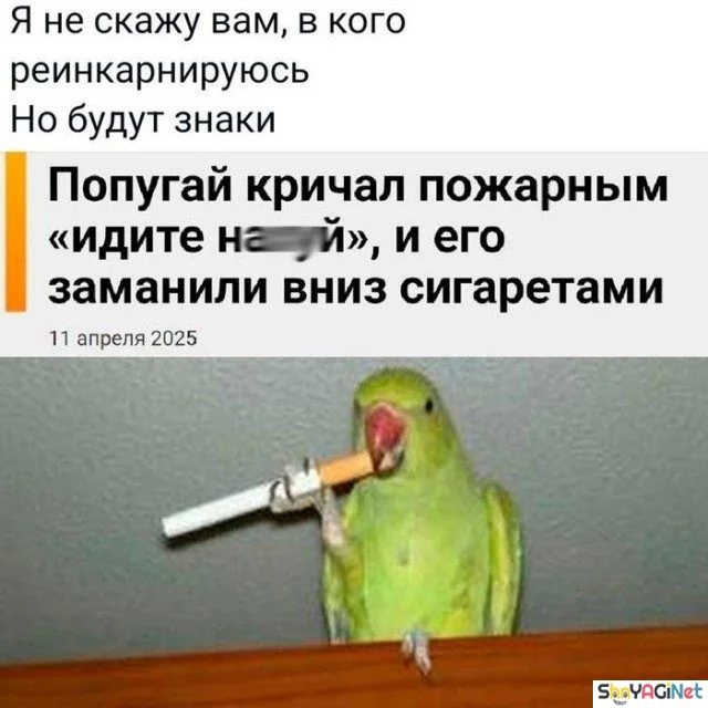Угарная подборка: свежие мемы и приколы дня приколы, мемы, юмор, картинки, подборка