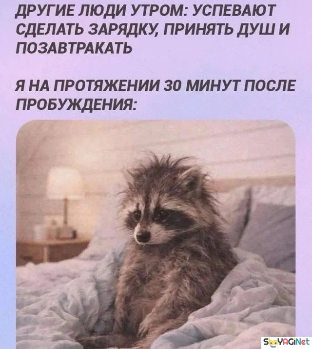 Угарная подборка: свежие мемы и приколы дня приколы, мемы, юмор, картинки, подборка