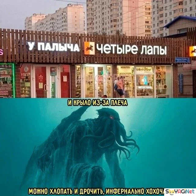 Угарная подборка: свежие мемы и приколы дня приколы, мемы, юмор, картинки, подборка
