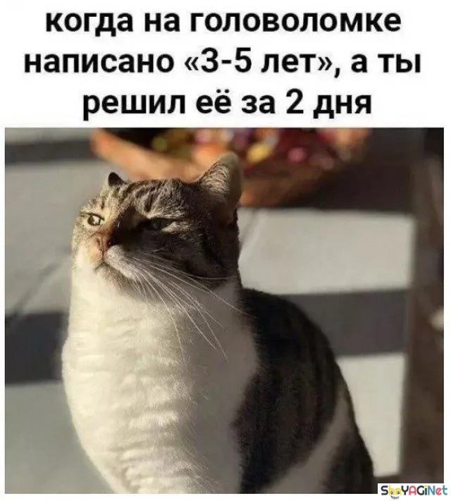 Когда приколы заходят в самое сердце: 15 мемов приколы, мемы, когда, юмор, картинки