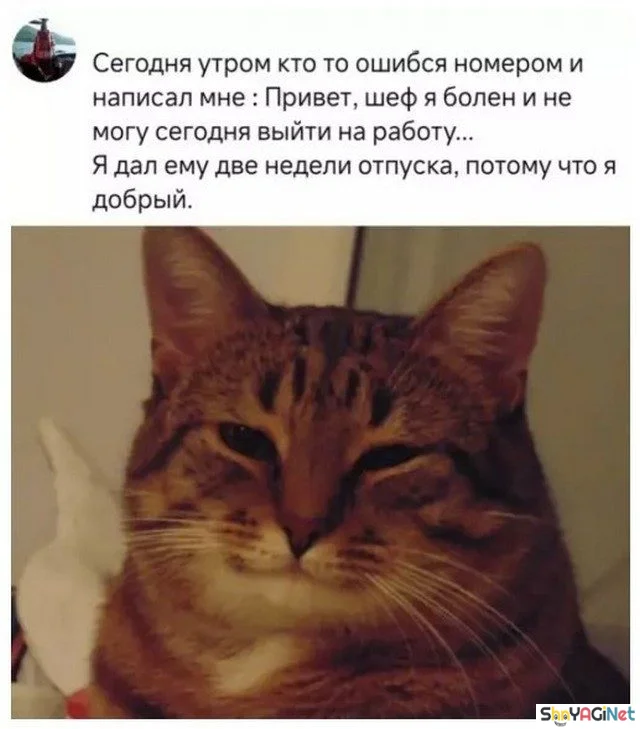Смешные рабочие моменты: подборка Смешные рабочие моменты: подборка рабочие приколы, офисный юмор, фото приколы, смешное