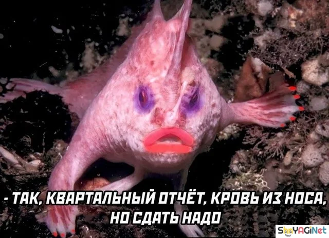Смешные рабочие моменты: подборка Смешные рабочие моменты: подборка рабочие приколы, офисный юмор, фото приколы, смешное