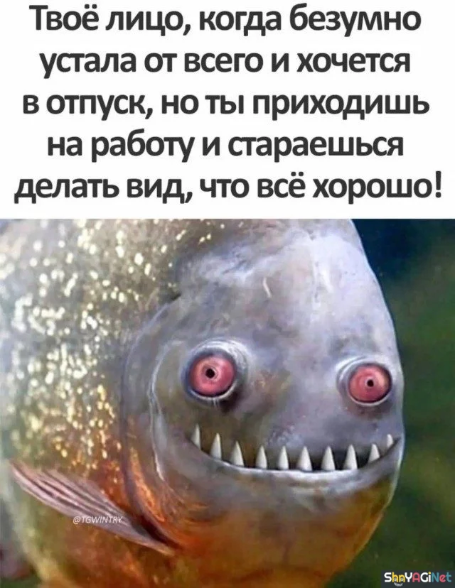Смешные рабочие моменты: подборка