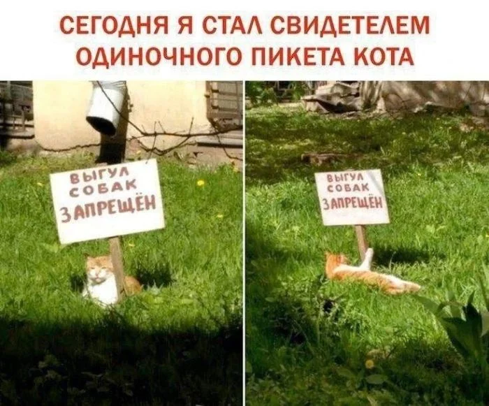 Готовьтесь к угару: свежая порция мемов