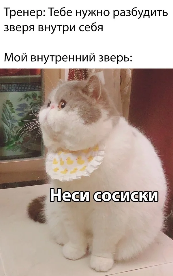 Уморительные мемы: порция хорошего настроения Уморительные мемы: порция хорошего настроения мемы, юмор, приколы, картинки, смешное