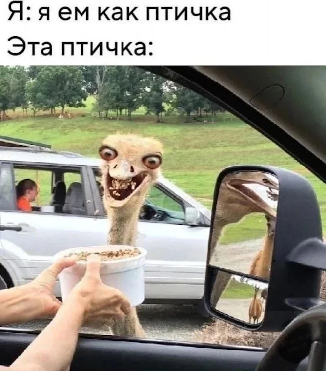 Утренний юмор: мемы про клубнику и летнюю обувь мемы, юмор, приколы, картинки, лето