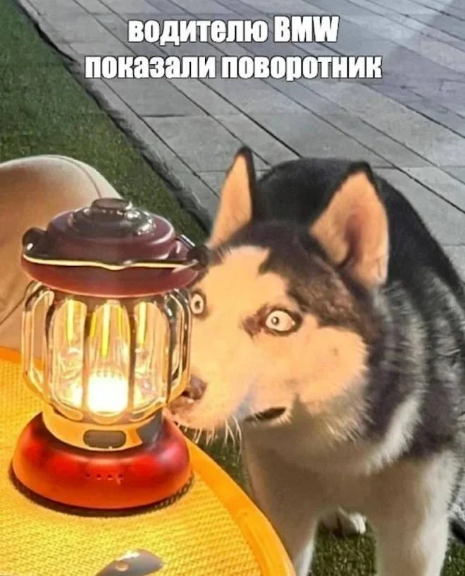 Утренний юмор: мемы про клубнику и летнюю обувь мемы, юмор, приколы, картинки, лето
