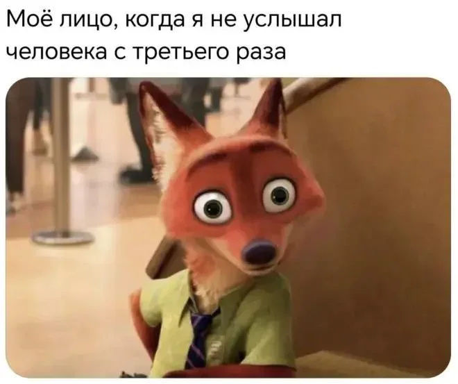 Утренний юмор: мемы про клубнику и летнюю обувь мемы, юмор, приколы, картинки, лето