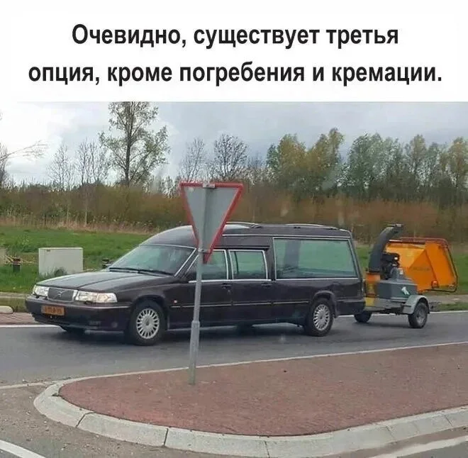 Утренний юмор: мемы про клубнику и летнюю обувь мемы, юмор, приколы, картинки, лето