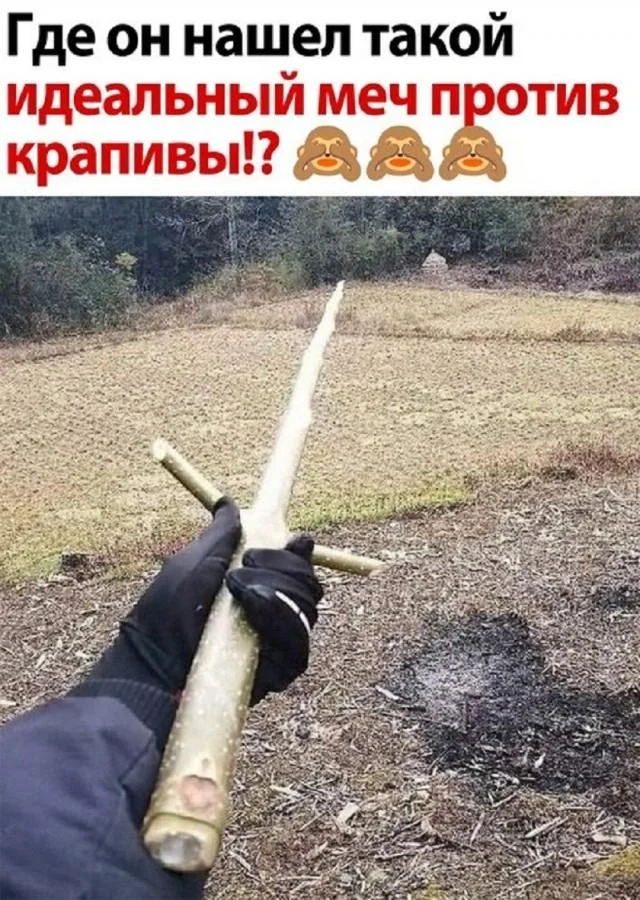 Утренний юмор: мемы про клубнику и летнюю обувь мемы, юмор, приколы, картинки, лето