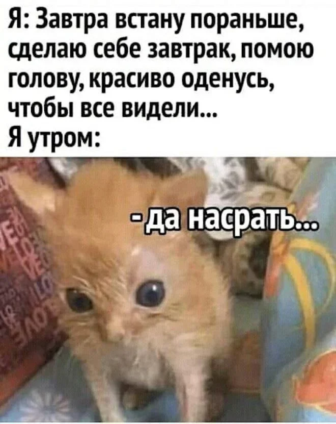 Утренний юмор: мемы про клубнику и летнюю обувь мемы, юмор, приколы, картинки, лето