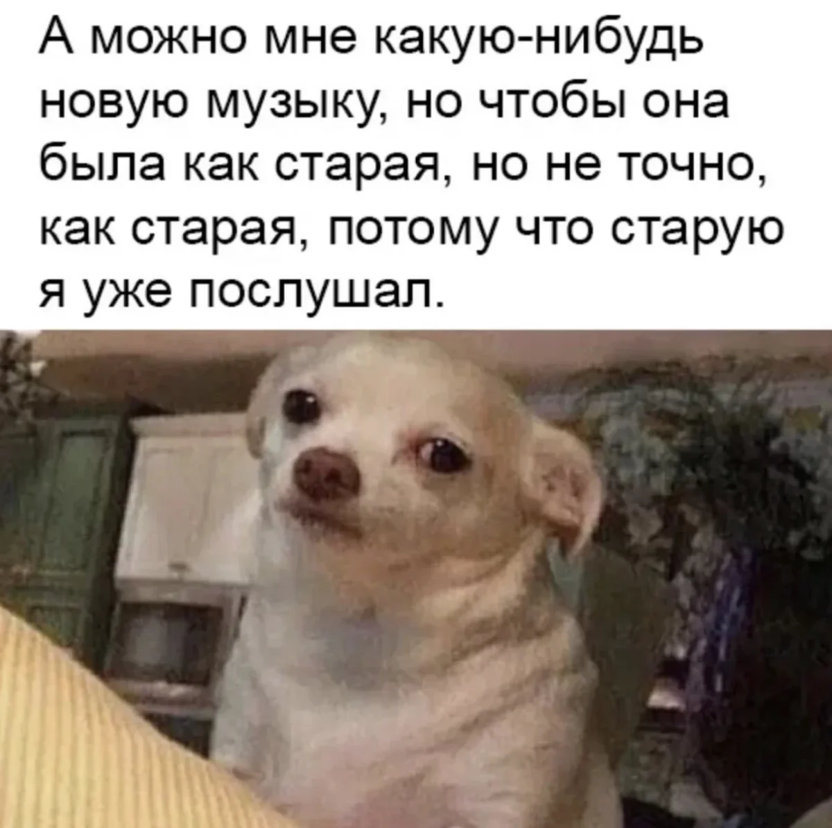 Юмор дня: заряжаемся позитивом мемы, приколы, картинки, юмор, подборка