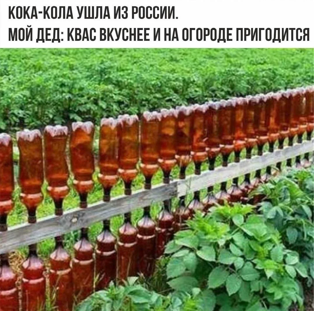 Квасные приколы: мемы и картинки ко Дню русского кваса Квасные приколы: мемы и картинки ко Дню русского кваса квас, мемы, приколы, день кваса, юмор