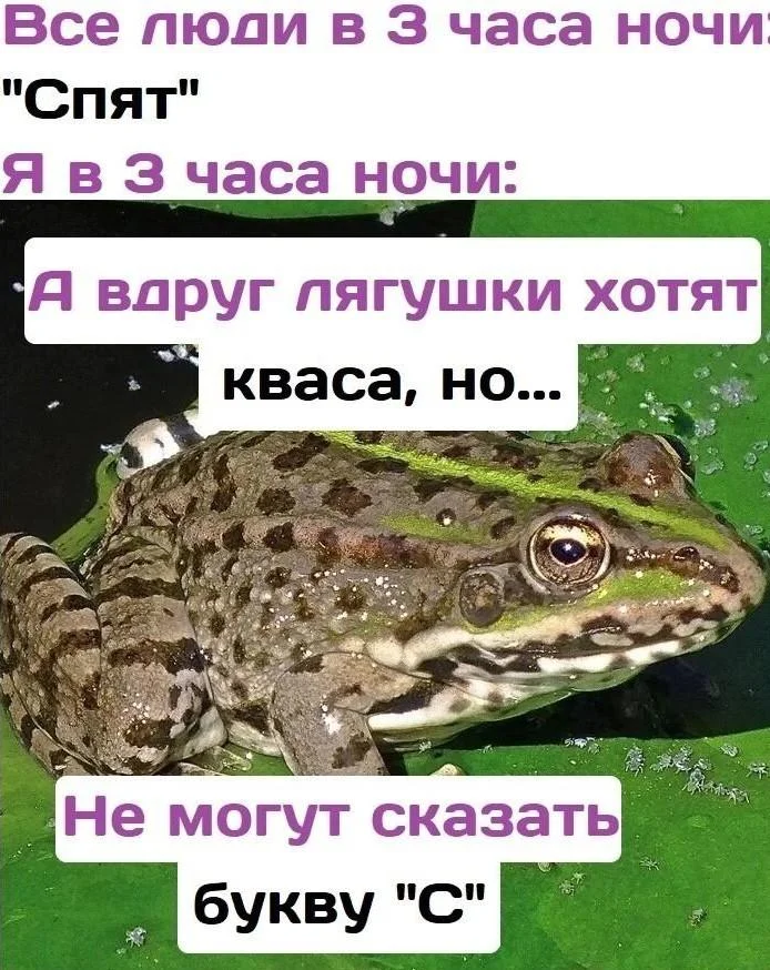 Квасные приколы: мемы и картинки ко Дню русского кваса Квасные приколы: мемы и картинки ко Дню русского кваса квас, мемы, приколы, день кваса, юмор
