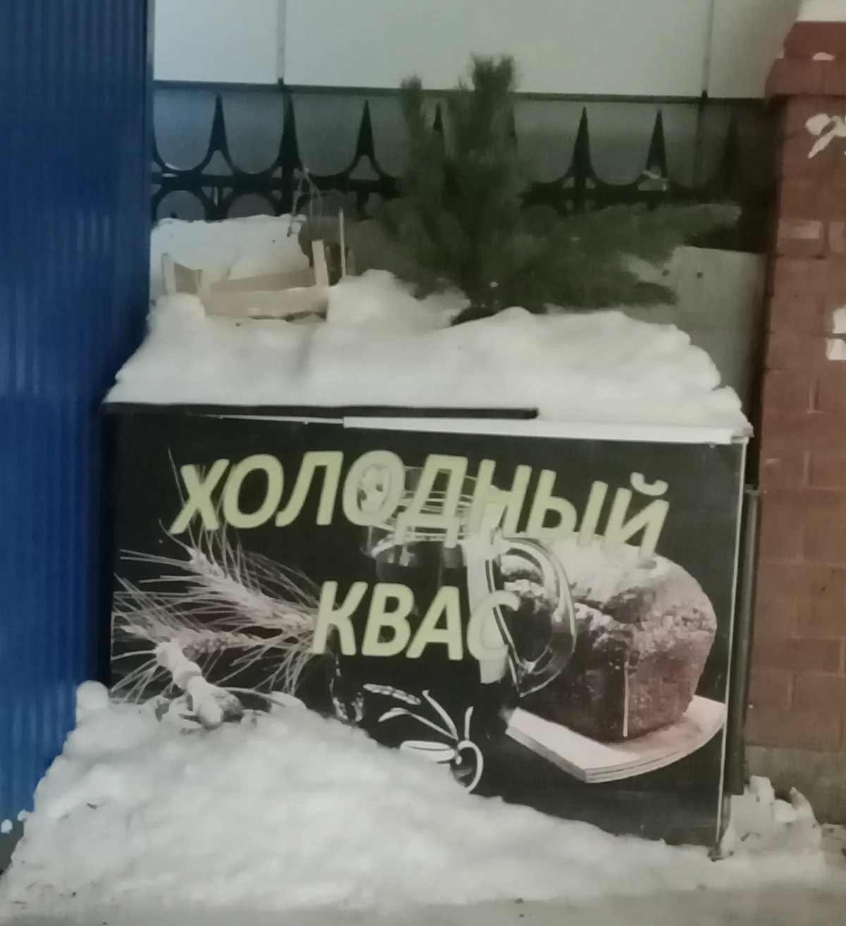 Квасные приколы: мемы и картинки ко Дню русского кваса Квасные приколы: мемы и картинки ко Дню русского кваса квас, мемы, приколы, день кваса, юмор
