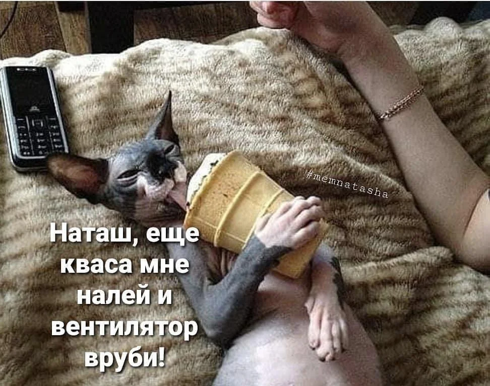 Квасные приколы: мемы и картинки ко Дню русского кваса Квасные приколы: мемы и картинки ко Дню русского кваса квас, мемы, приколы, день кваса, юмор