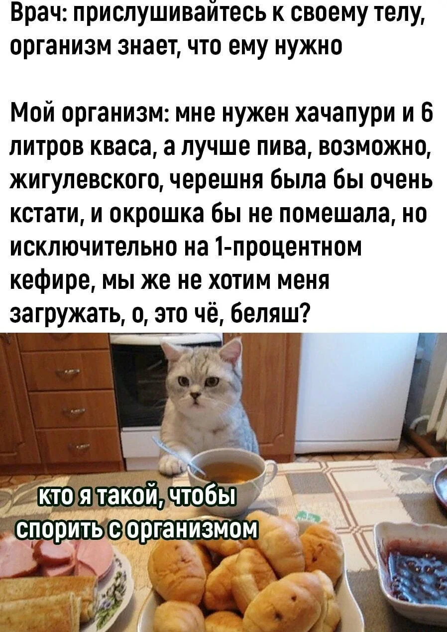 Квасные приколы: мемы и картинки ко Дню русского кваса Квасные приколы: мемы и картинки ко Дню русского кваса квас, мемы, приколы, день кваса, юмор