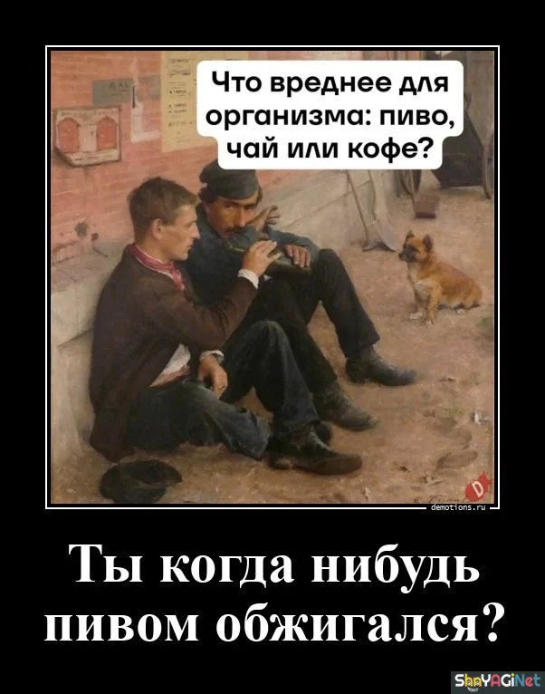 Демотиваторы, от которых сложно оторваться демотиваторы, приколы, юмор, картинки, подборка