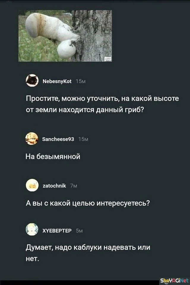 Смех без тормозов: угарные комментарии из соцсетей приколы, смешные комментарии, соцсети, мемы, ржака