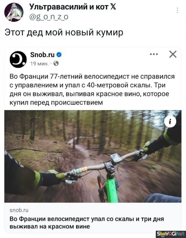 Смех без тормозов: угарные комментарии из соцсетей приколы, смешные комментарии, соцсети, мемы, ржака