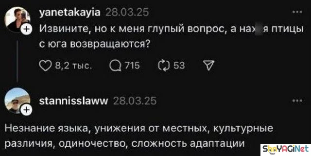 Смех без тормозов: угарные комментарии из соцсетей приколы, смешные комментарии, соцсети, мемы, ржака