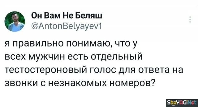 Смех без тормозов: угарные комментарии из соцсетей приколы, смешные комментарии, соцсети, мемы, ржака