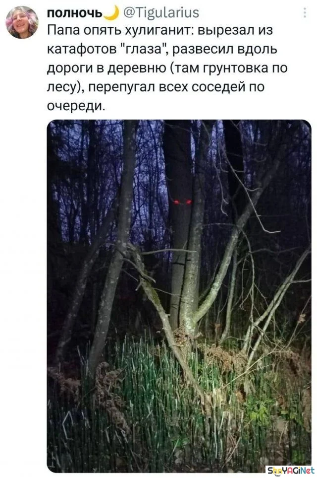 Свежая подборка убойных комментариев юмор, приколы, комментарии, соцсети