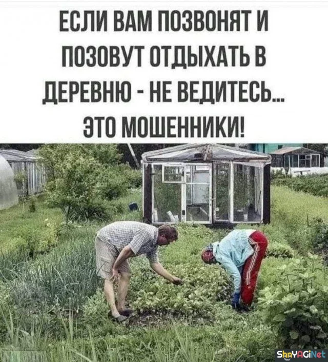 Деревенский угар: подборка фото и гифок приколы, деревня, угар, фото, гифки, юмор