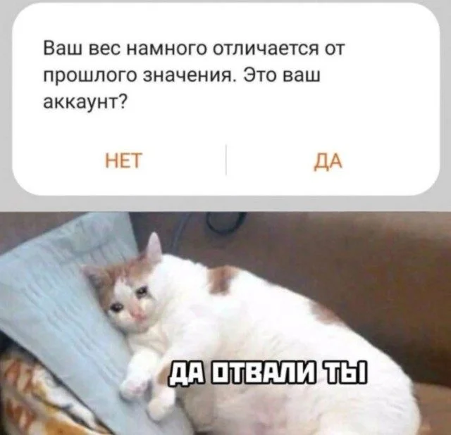 Неудержимая анархия: мемы про налоги, пса и стул из Икеи мемы, приколы, картинки, налоги, собака, икеа