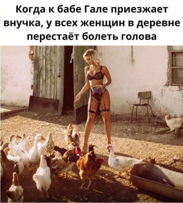 Неудержимая анархия: мемы про налоги, пса и стул из Икеи мемы, приколы, картинки, налоги, собака, икеа