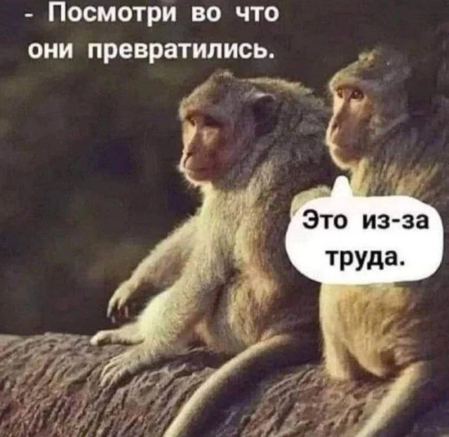 Неудержимая анархия: мемы про налоги, пса и стул из Икеи мемы, приколы, картинки, налоги, собака, икеа