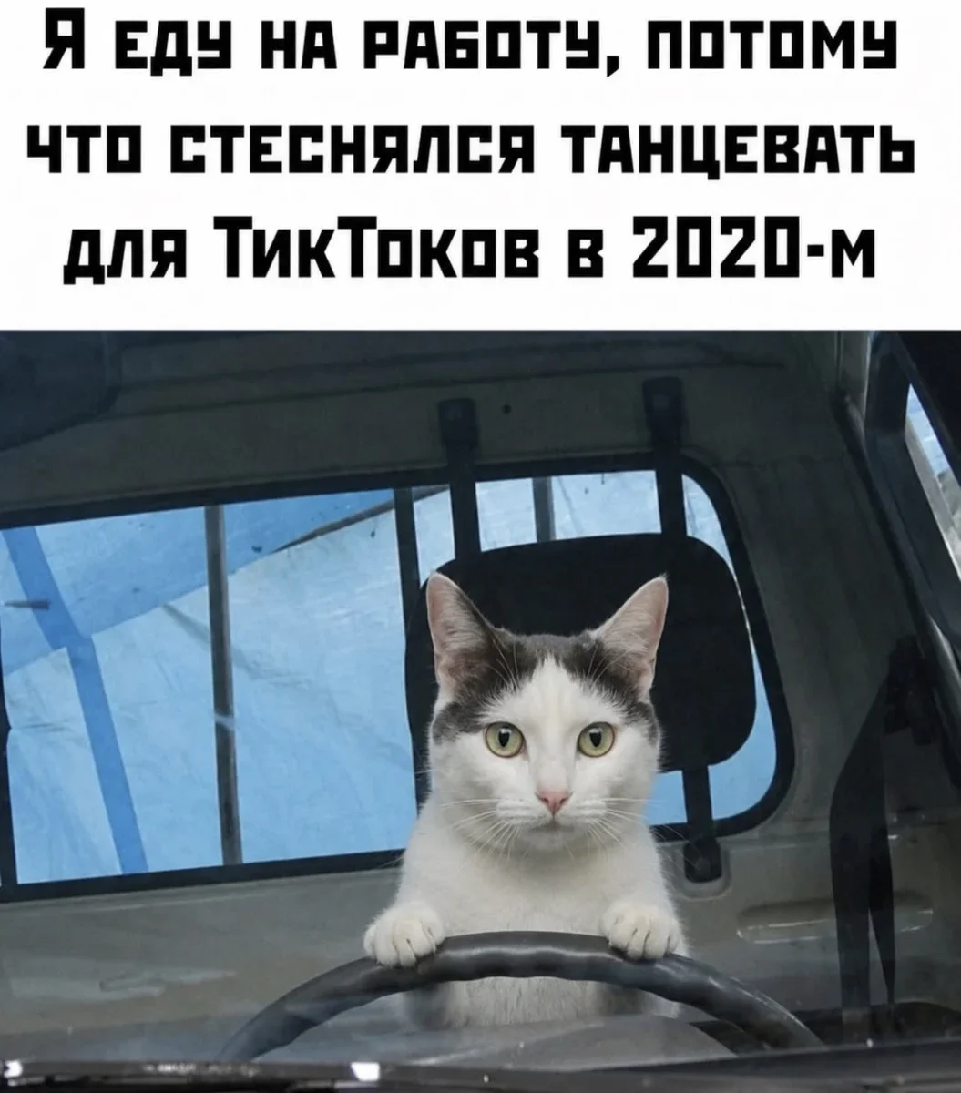 Юмор дня: нейросети, печеньки и собачьи мемы Юмор дня: нейросети, печеньки и собачьи мемы юмор, мемы, приколы, нейросети, собаки