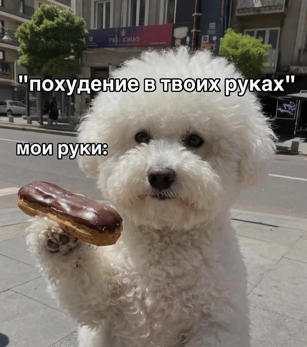 Юмор дня: нейросети, печеньки и собачьи мемы Юмор дня: нейросети, печеньки и собачьи мемы юмор, мемы, приколы, нейросети, собаки