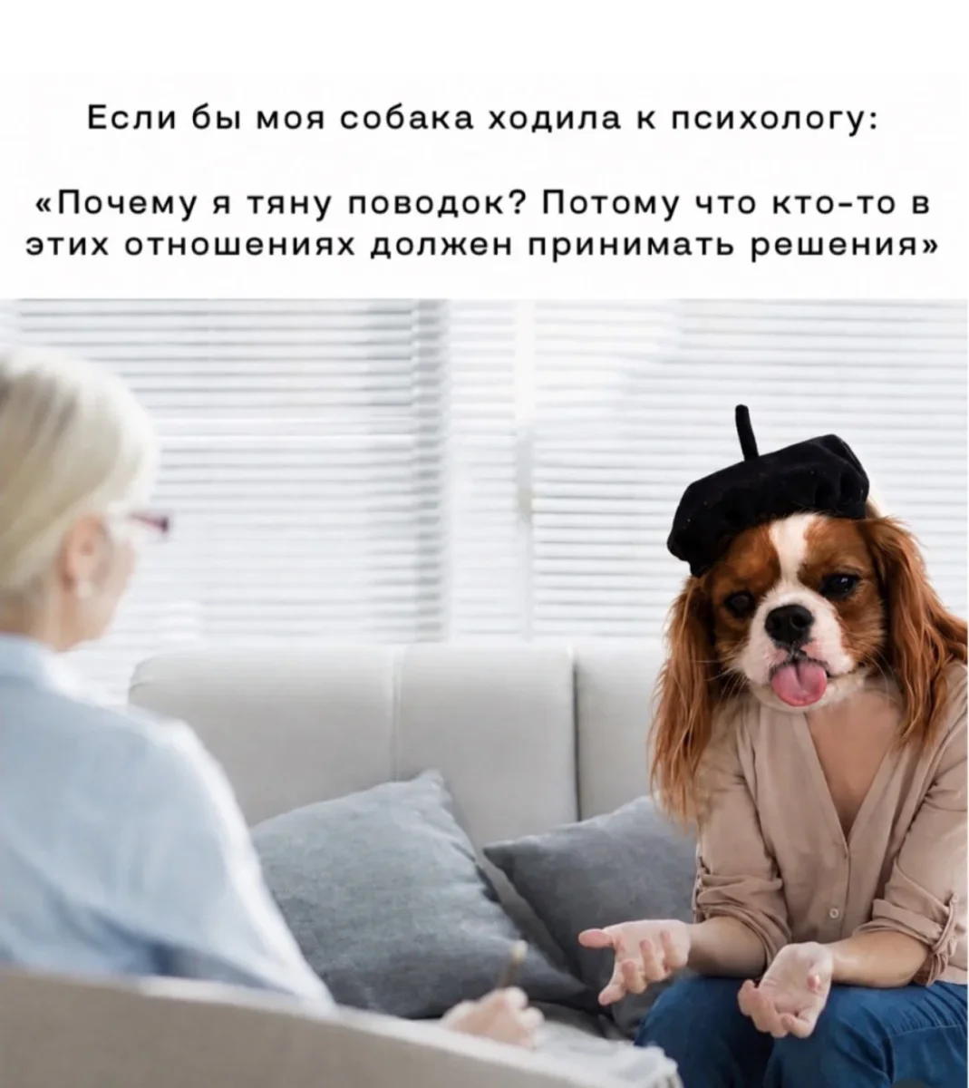 Юмор дня: нейросети, печеньки и собачьи мемы юмор, мемы, приколы, нейросети, собаки