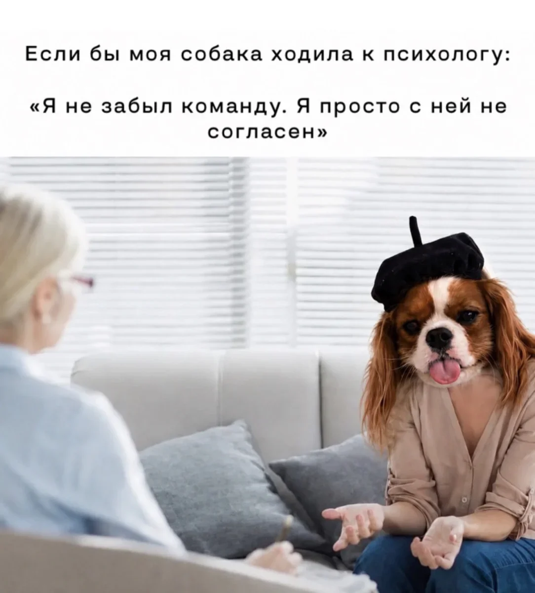 Юмор дня: нейросети, печеньки и собачьи мемы Юмор дня: нейросети, печеньки и собачьи мемы юмор, мемы, приколы, нейросети, собаки